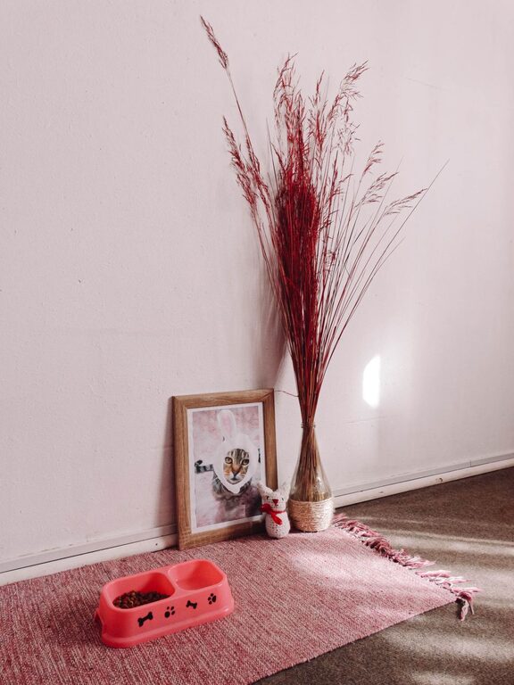 How to Set Up a Pet Friendly Home Corner